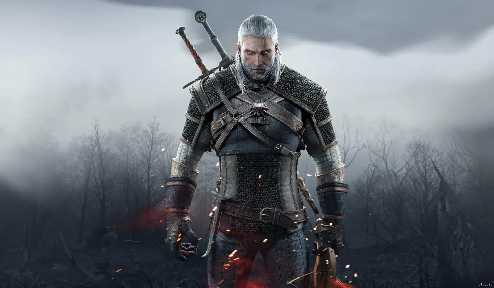 The Witcher 3: Wild Hunt oyunu kapağı